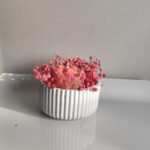 Christmas Σετ - Image 2